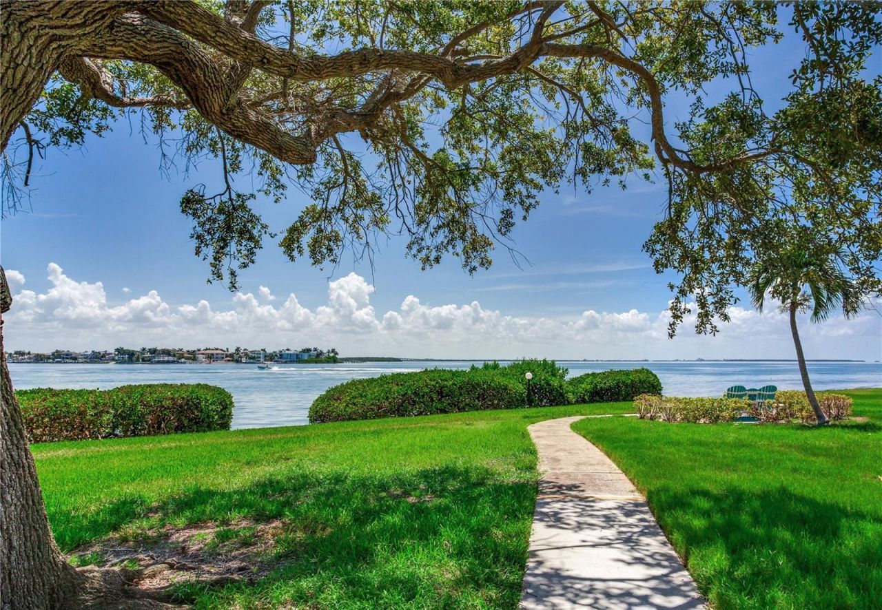 6104 Palma Del Mar Boulevard S, Unit 404, Saint Petersburg, FL 33715 Photo