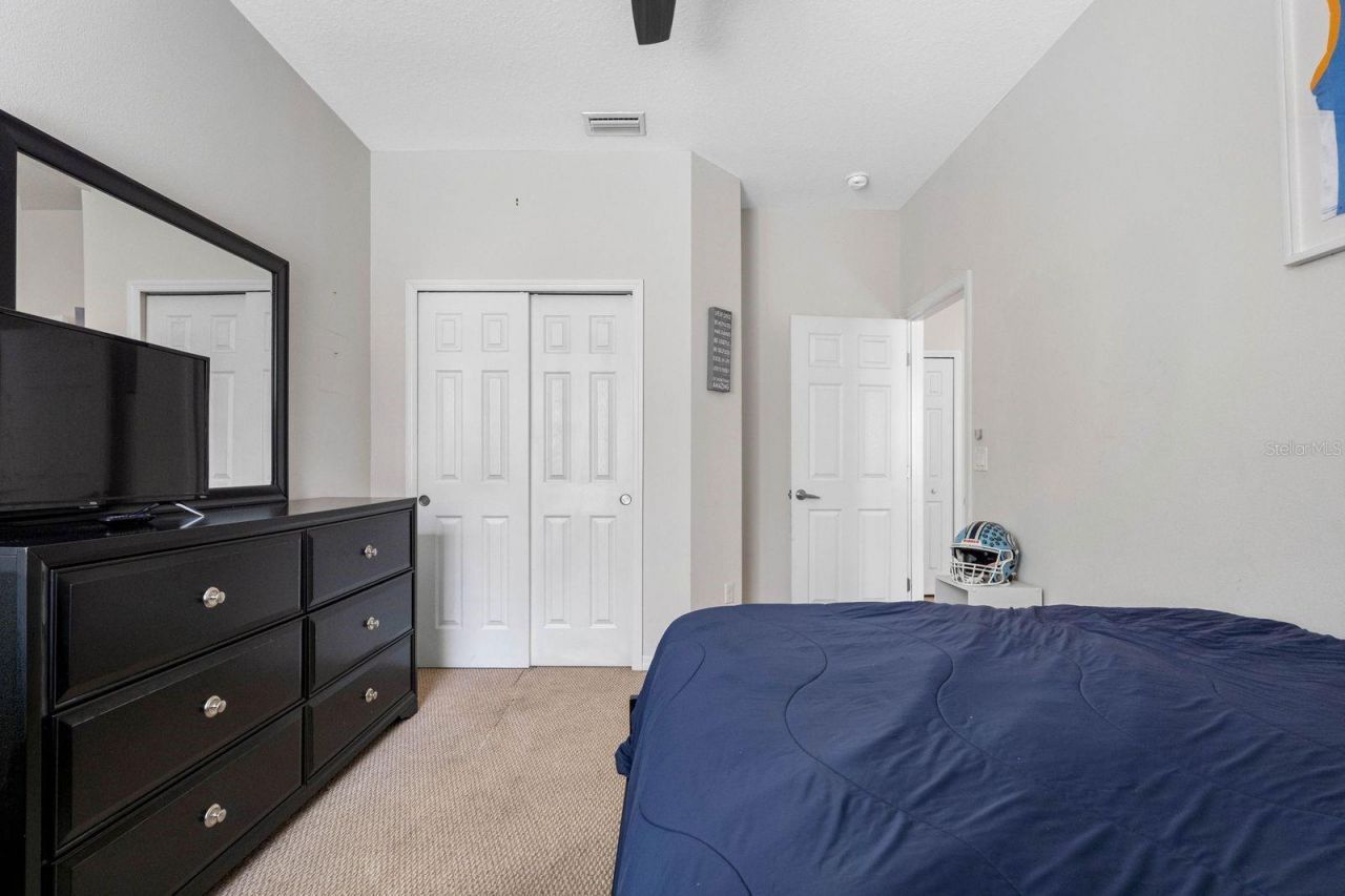 15913 Oakleaf Run Drive, Lithia, FL 33547 Photo