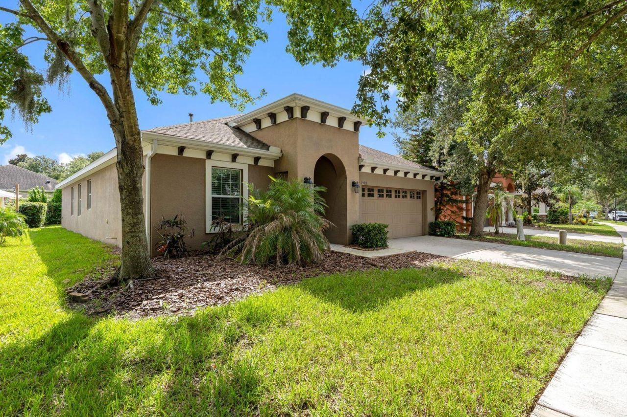 15913 Oakleaf Run Drive, Lithia, FL 33547 Photo