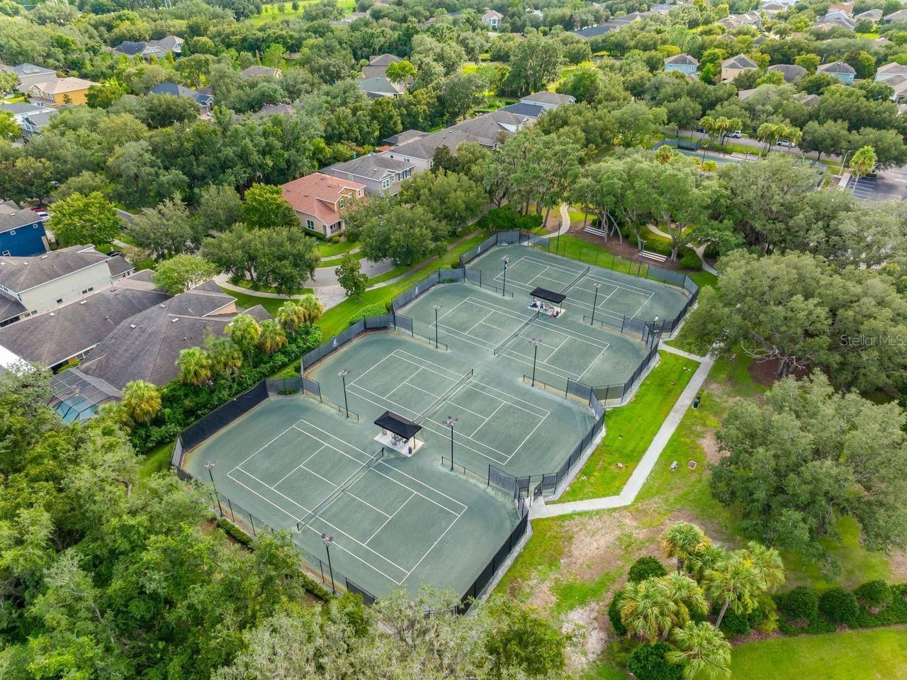 15913 Oakleaf Run Drive, Lithia, FL 33547 Photo