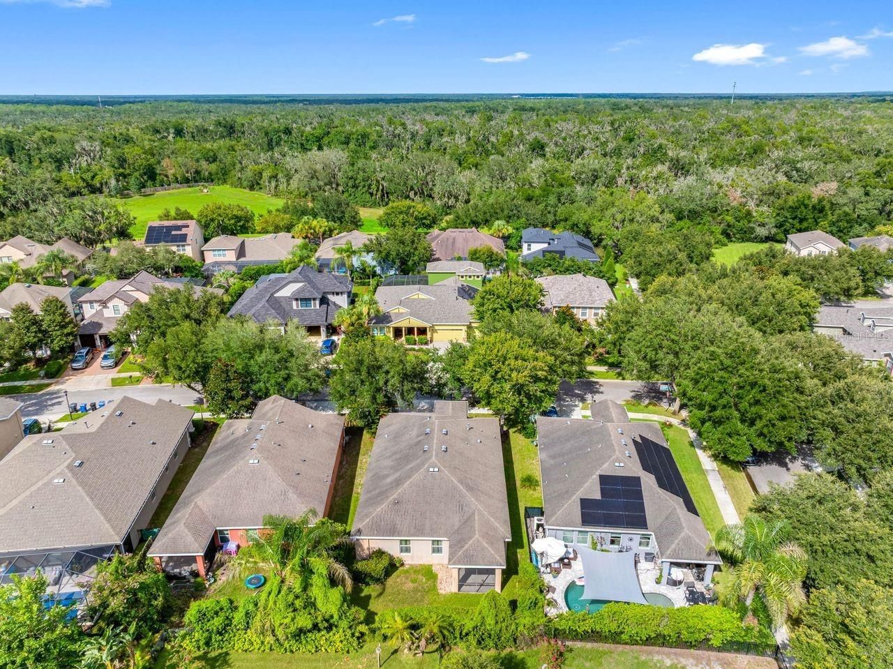 15913 Oakleaf Run Drive, Lithia, FL 33547 Photo