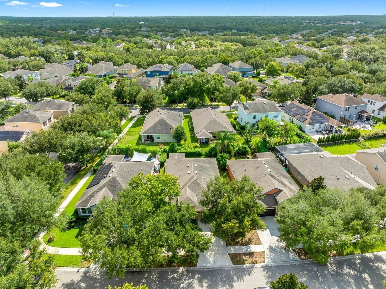 15913 Oakleaf Run Drive, Lithia, FL 33547 Photo