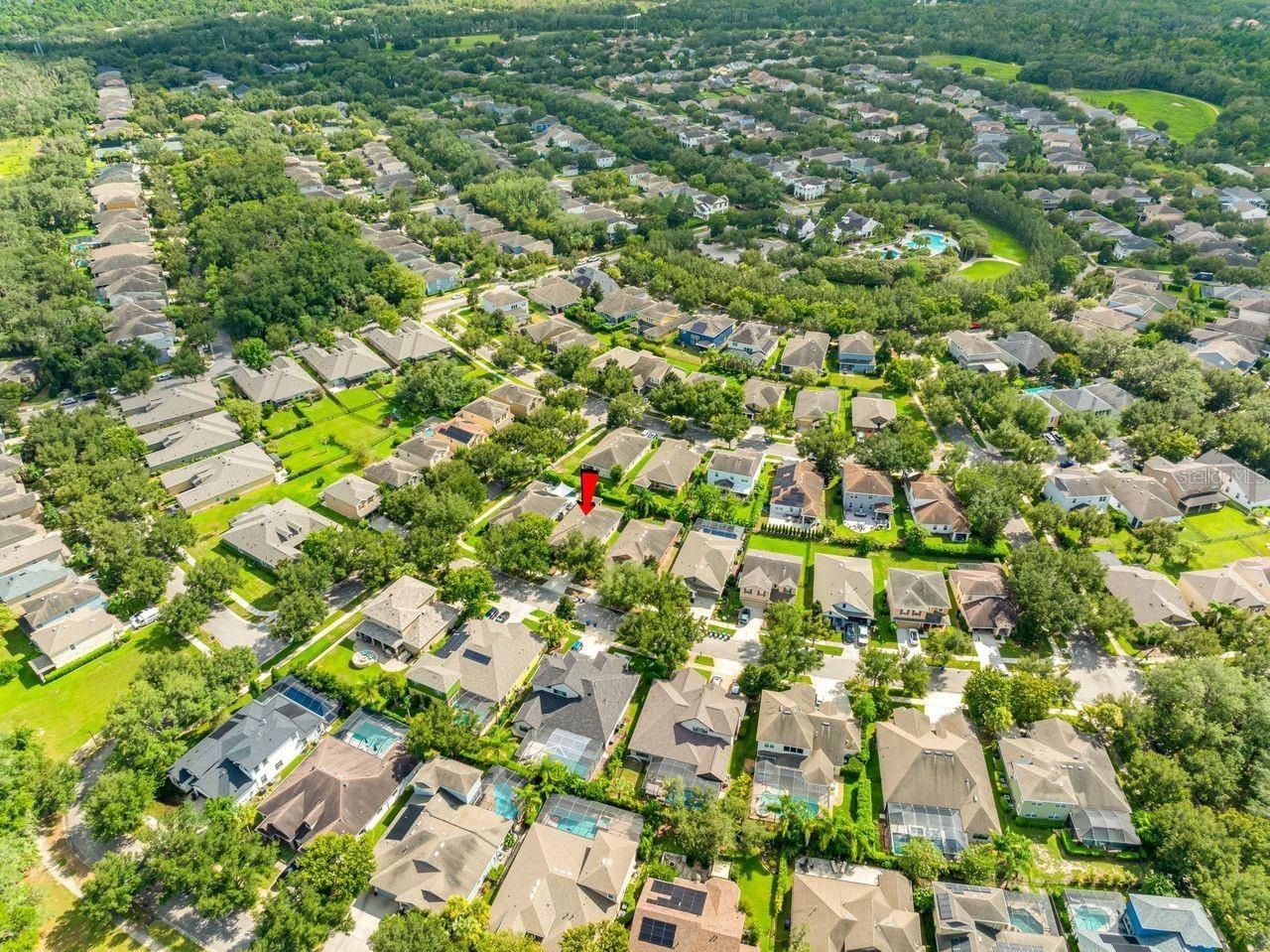 15913 Oakleaf Run Drive, Lithia, FL 33547 Photo