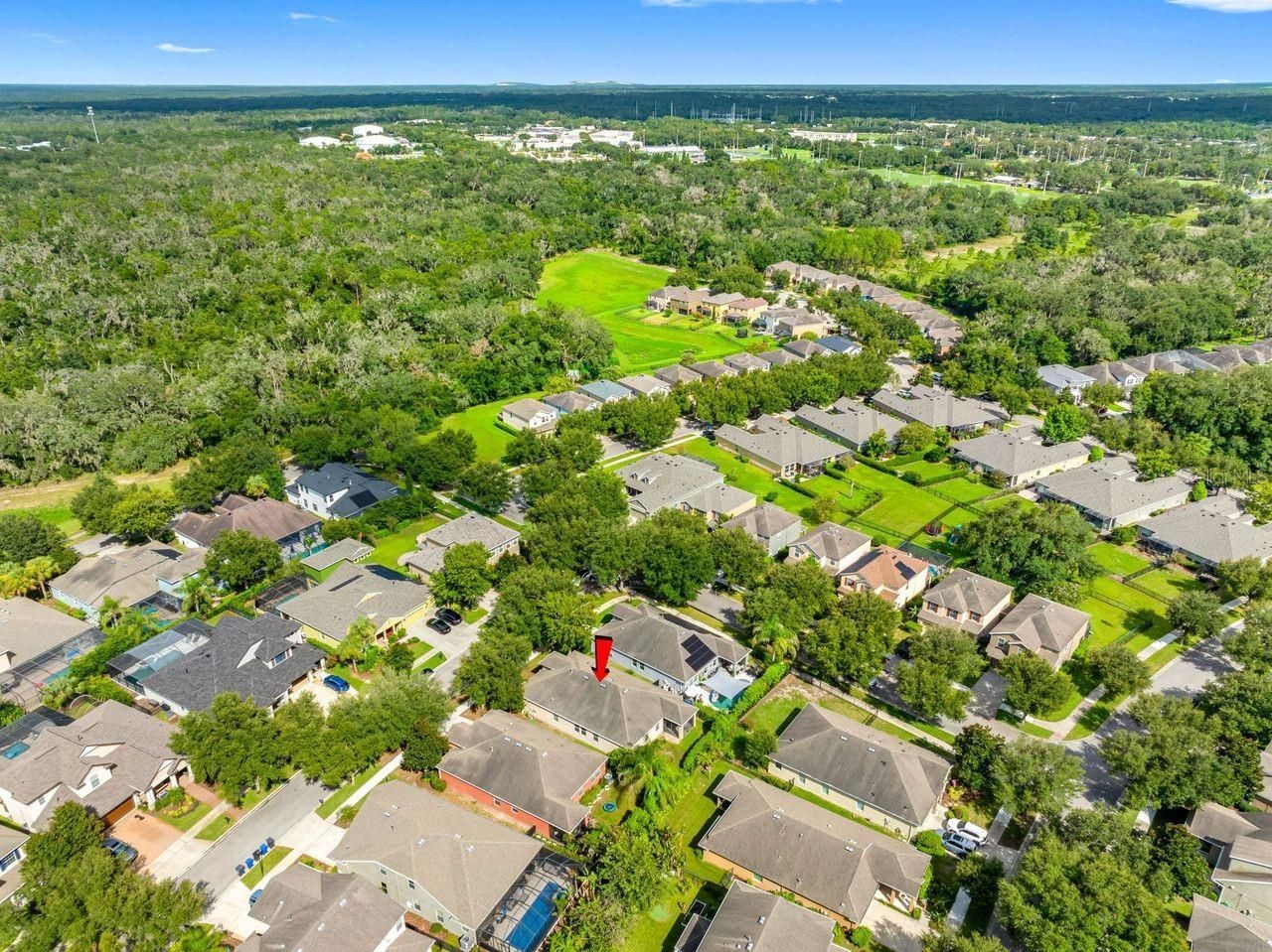 15913 Oakleaf Run Drive, Lithia, FL 33547 Photo