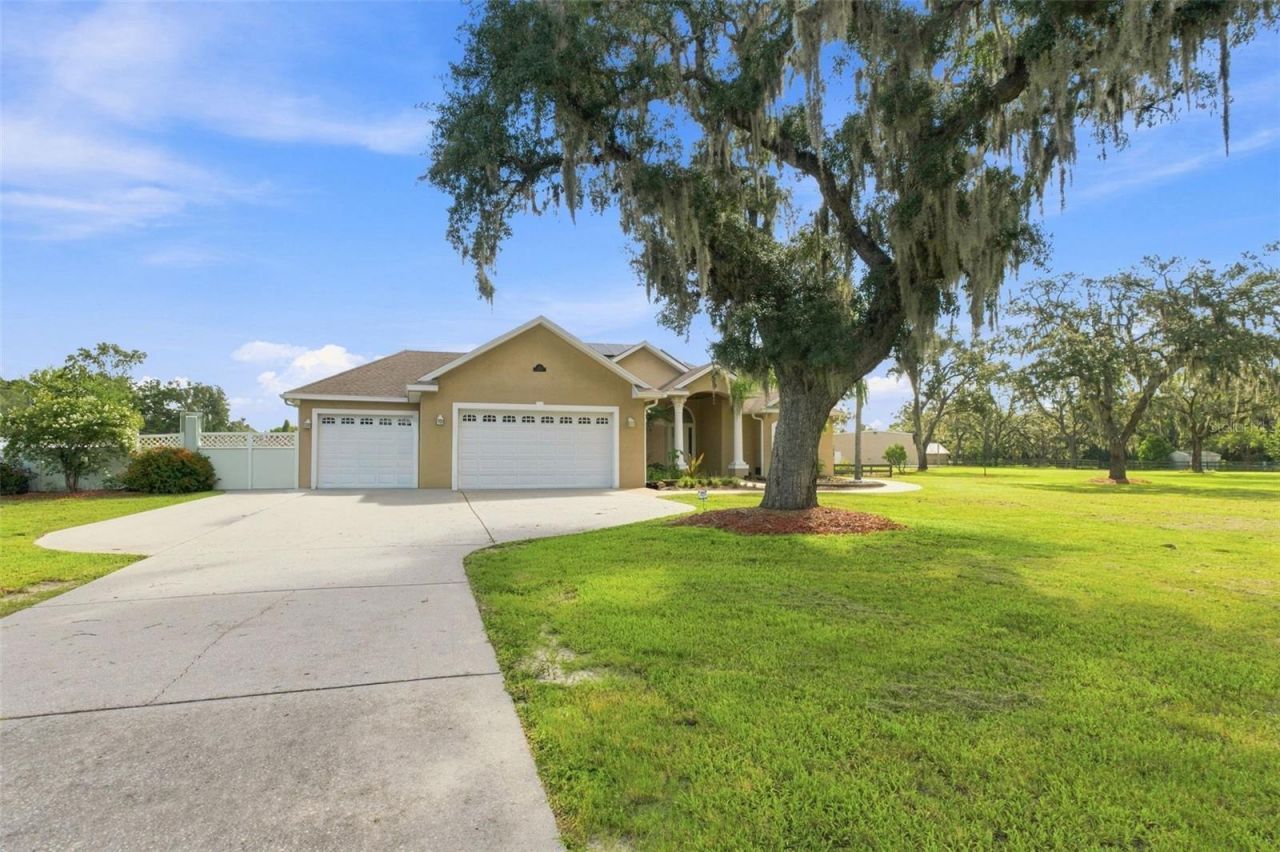 11302 Osceola Drive , New Port Richey, FL 34654 Photo
