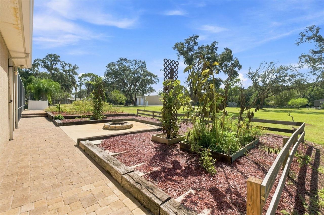 11302 Osceola Drive , New Port Richey, FL 34654 Photo