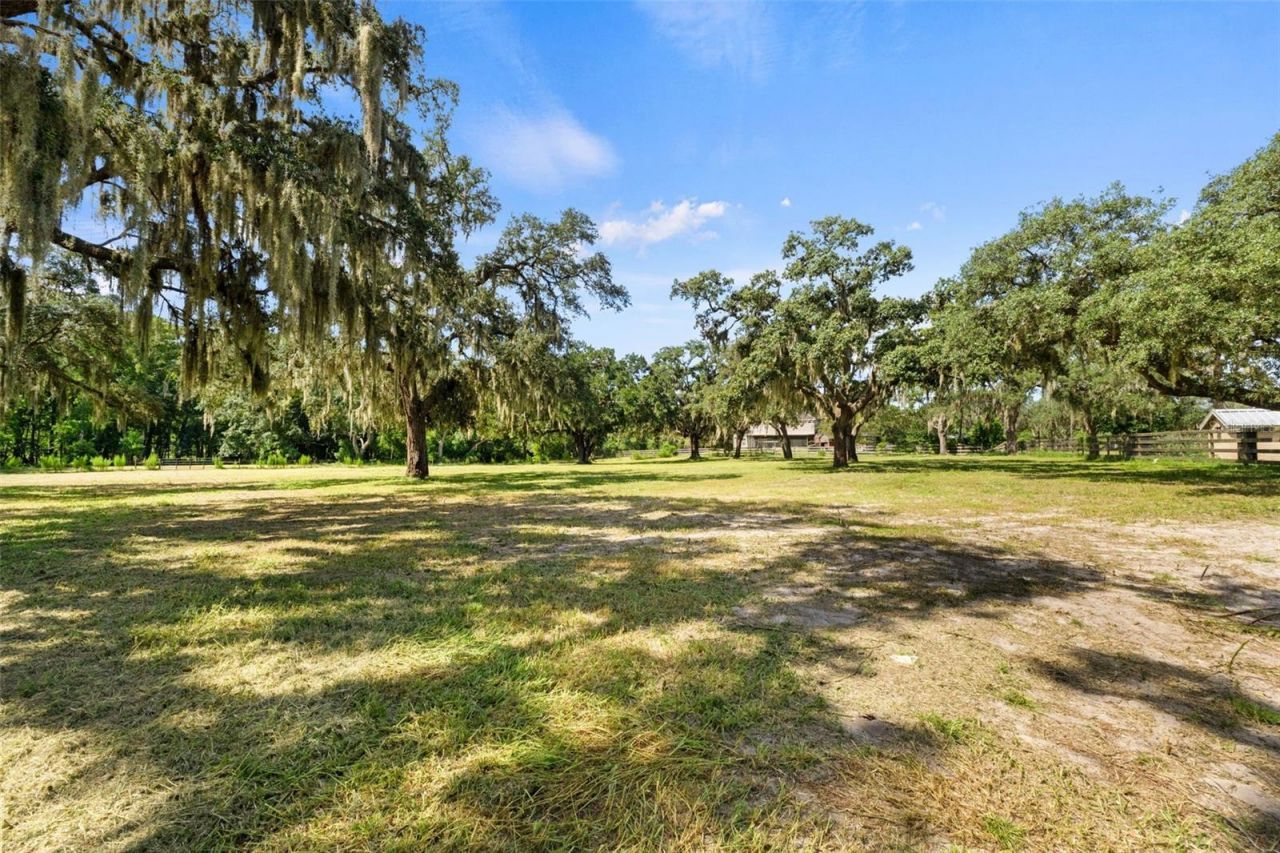 9850 Arrow Drive, New Port Richey, FL 34654 Photo