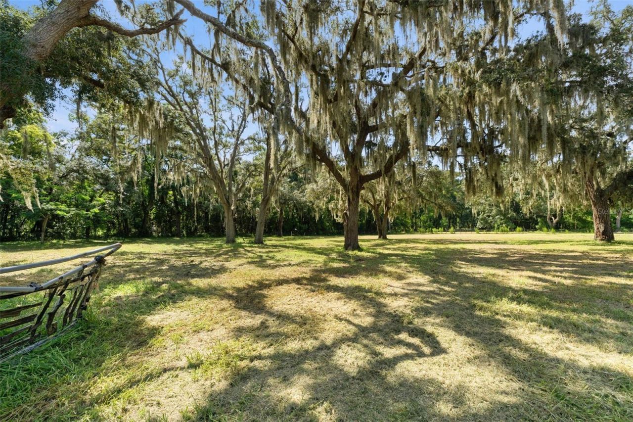 9850 Arrow Drive, New Port Richey, FL 34654 Photo
