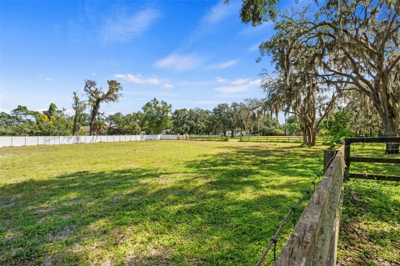 9850 Arrow Drive, New Port Richey, FL 34654 Photo