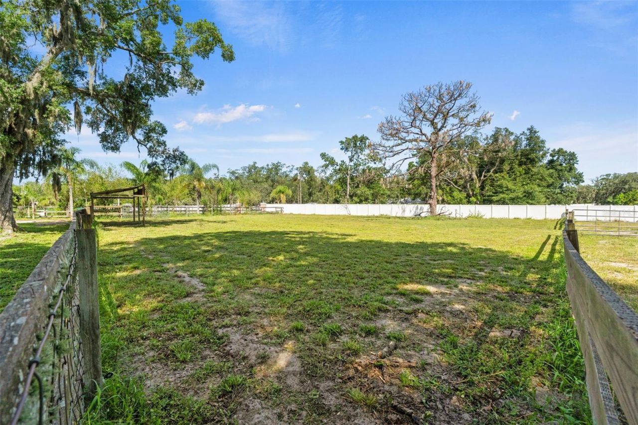 9850 Arrow Drive, New Port Richey, FL 34654 Photo