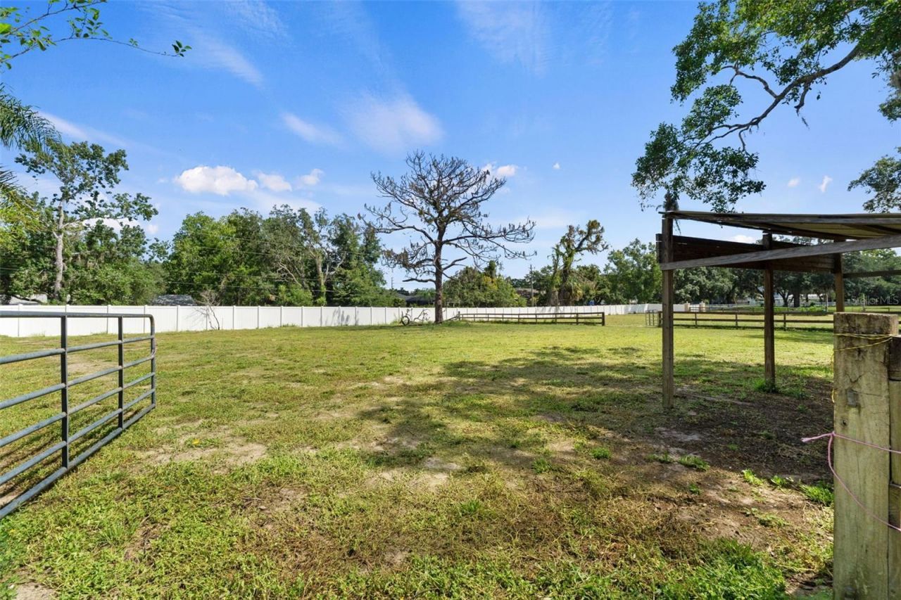 9850 Arrow Drive, New Port Richey, FL 34654 Photo