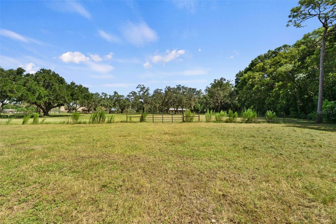 9850 Arrow Drive, New Port Richey, FL 34654 Photo