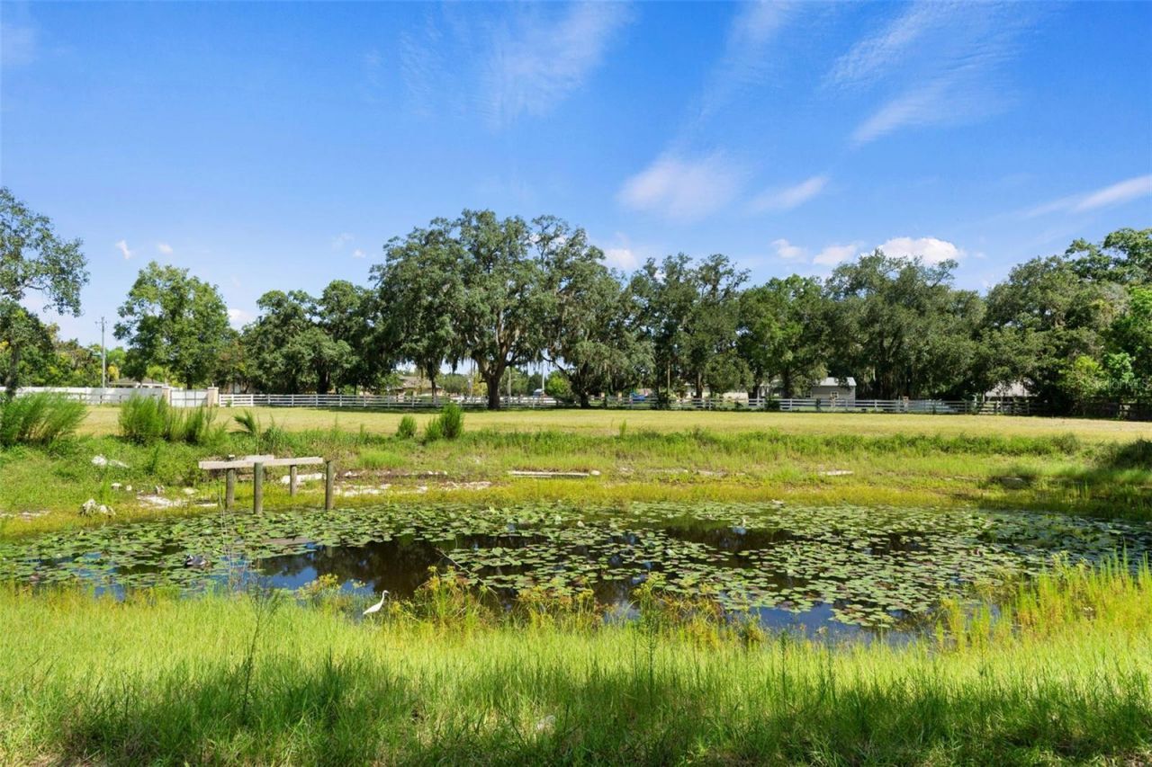 9850 Arrow Drive, New Port Richey, FL 34654 Photo