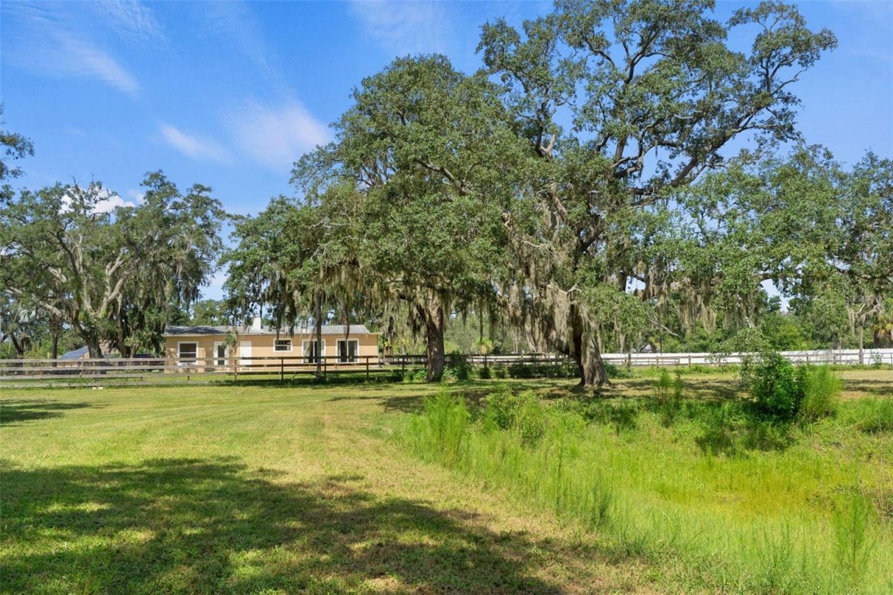 9850 Arrow Drive, New Port Richey, FL 34654 Photo