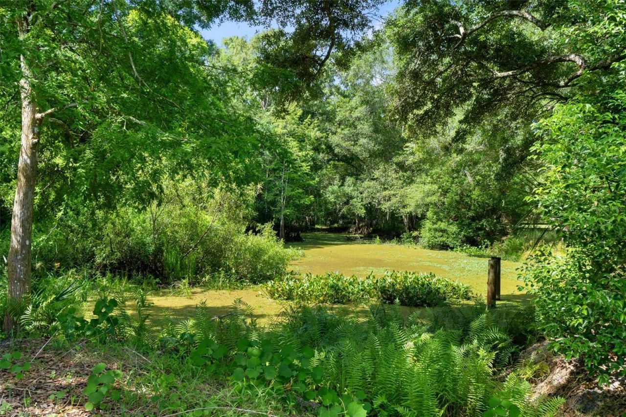 9850 Arrow Drive, New Port Richey, FL 34654 Photo