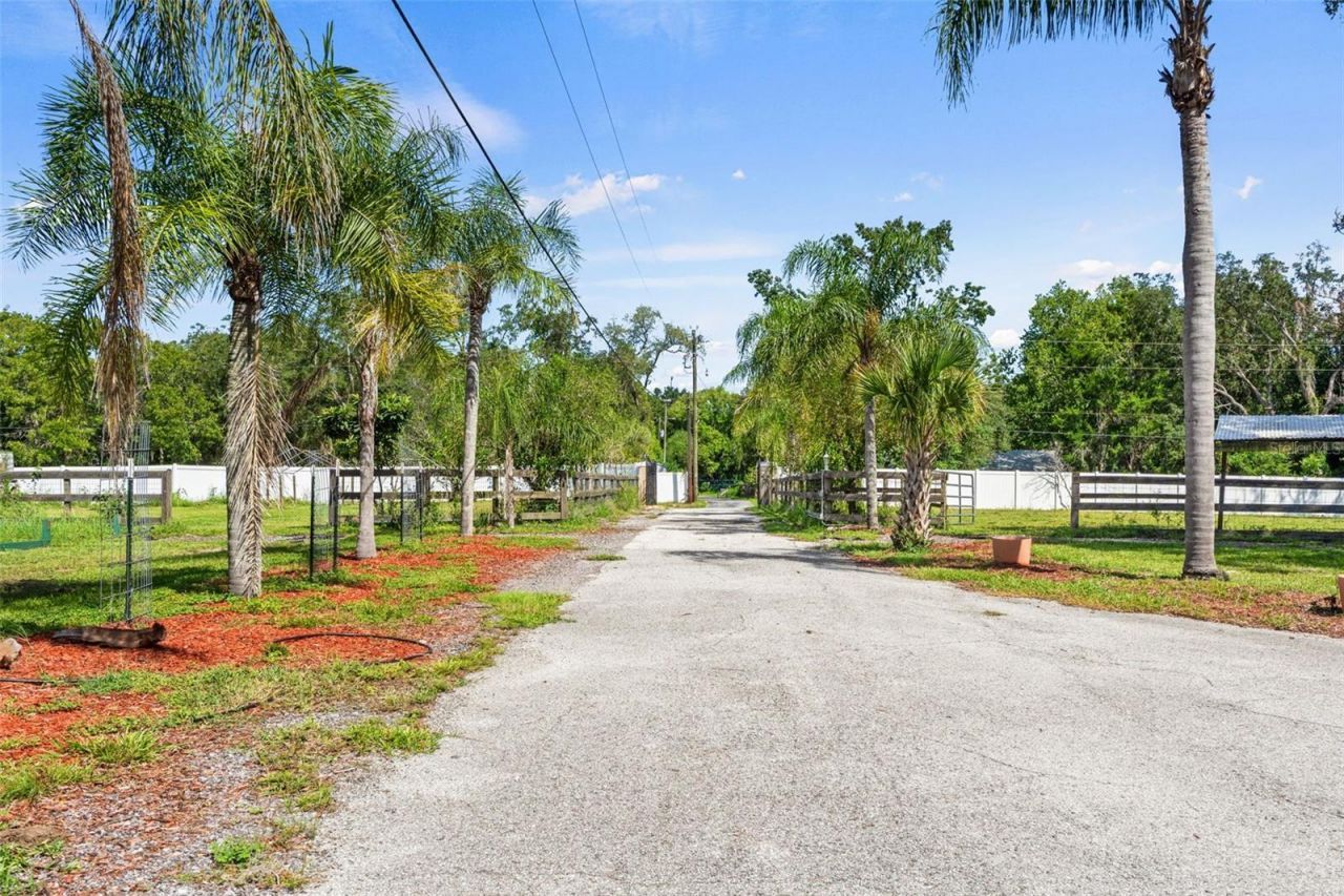 9850 Arrow Drive, New Port Richey, FL 34654 Photo