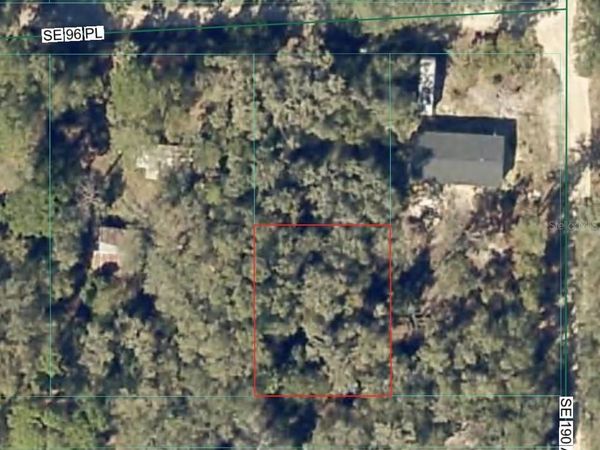SE 96 PLACE , OCKLAWAHA, FL 32179