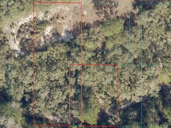NE 151 LANE , FORT MC COY, FL 32134