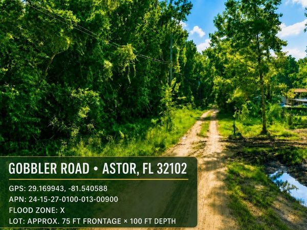GOBBLER ROAD , ASTOR, FL 32102