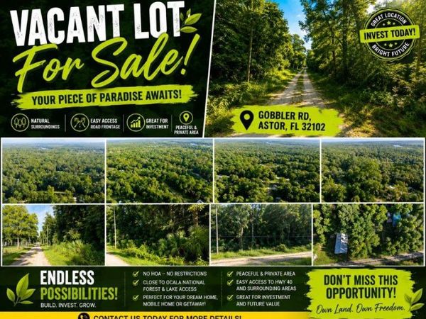GOBBLER ROAD, ASTOR, FL 32102