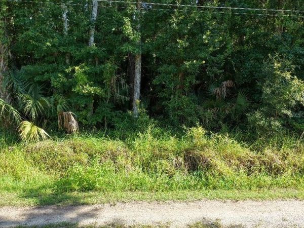 GOBBLER ROAD, ASTOR, FL 32102