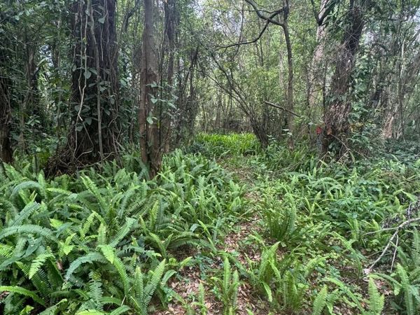 JONES AVENUE , SANFORD, FL 32773