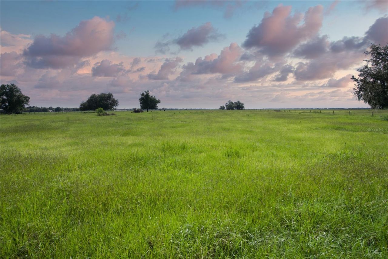 Nw Co Rd 661a , Arcadia, FL 34266 Photo