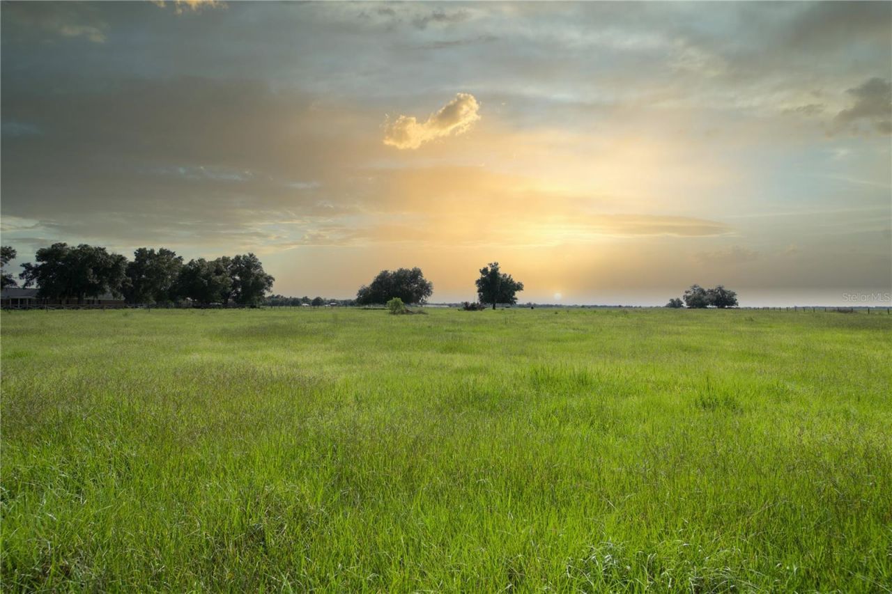 Nw Co Rd 661a , Arcadia, FL 34266 Photo