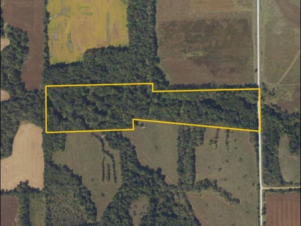 Clayton Avenue, Wayland, IA 52654
