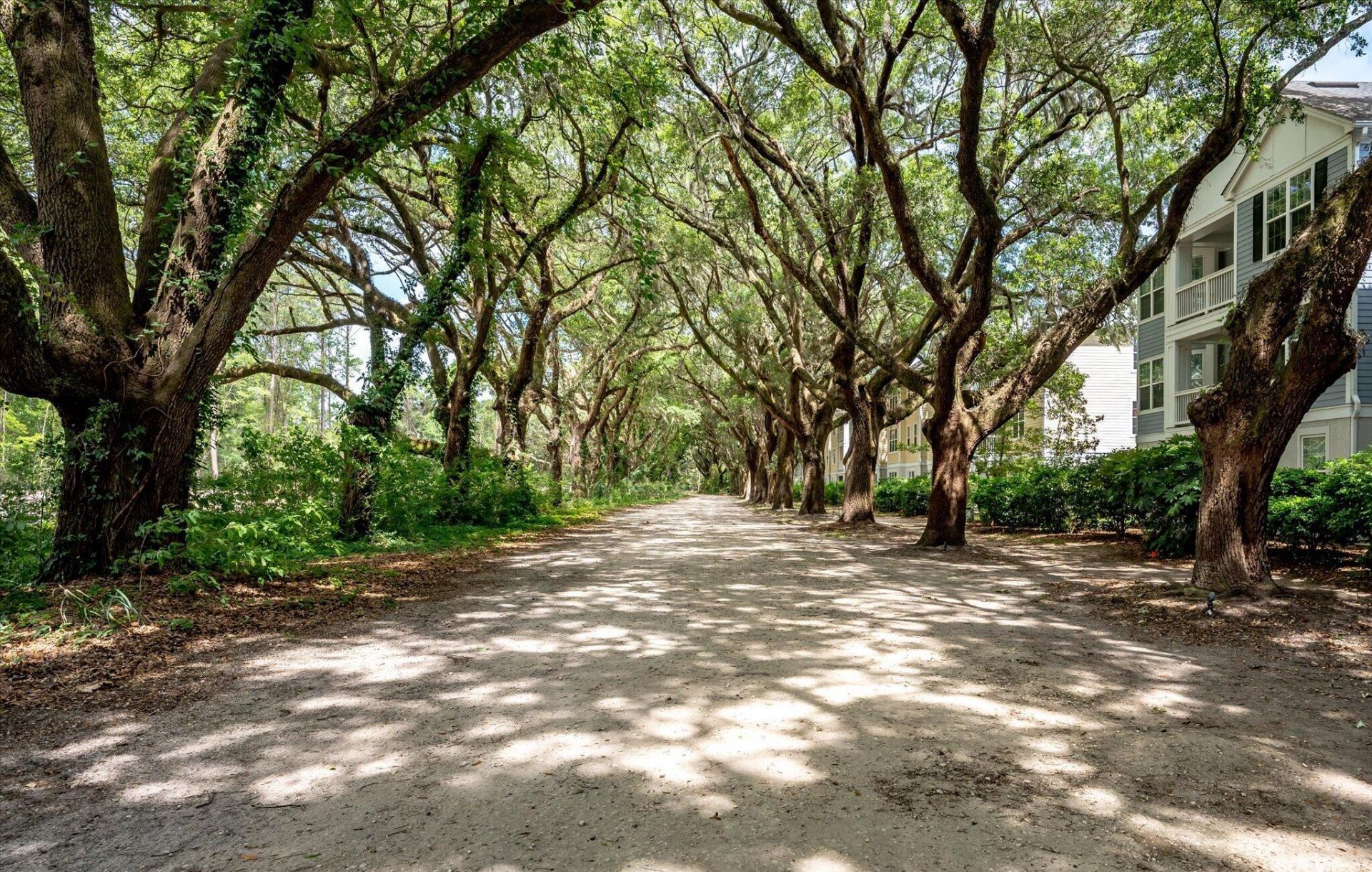 60 Fenwick Hall Alley Photo 31