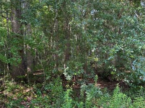 89 Trellis Court, Carrollton, GA 30116