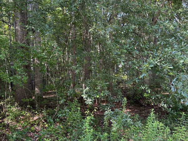 89 Trellis Court, Carrollton, GA 30116
