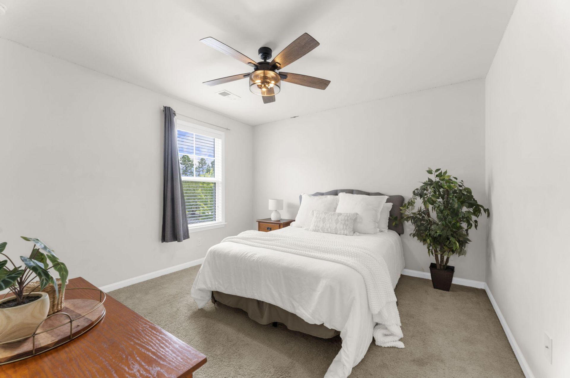 2505 Hummingbird Lane Photo 20