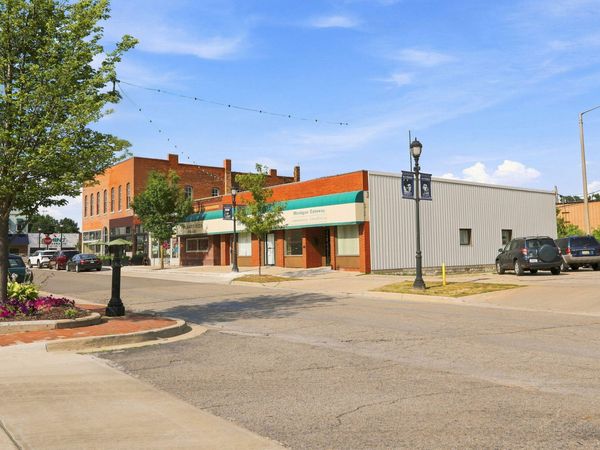 111 Days Avenue, Buchanan, MI 49107