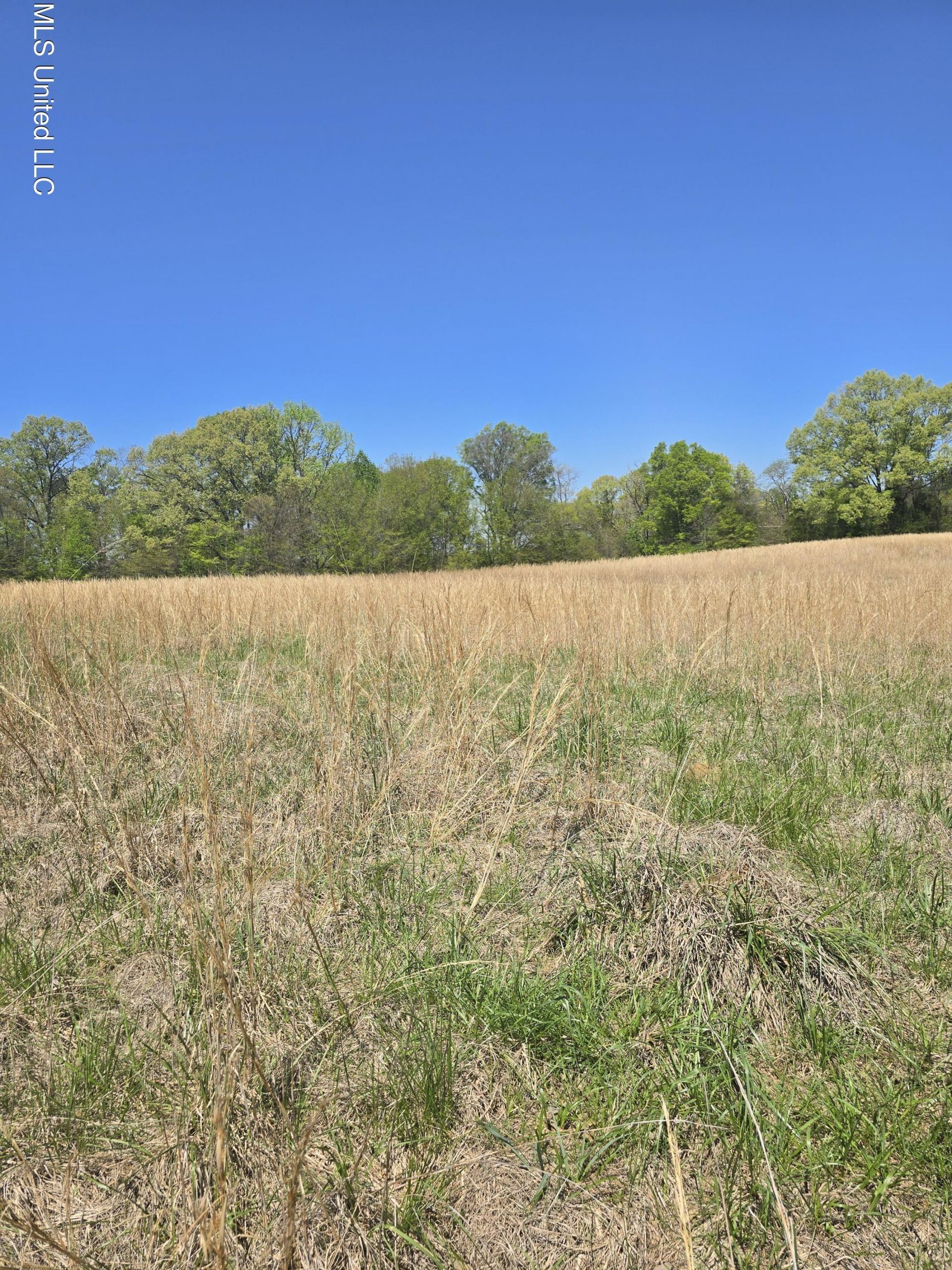 Melanie Lane, Hernando, MS 38632 Main Photo