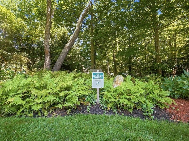 7174 Coventry Woods Court, Dublin, OH 43017 Photo 72