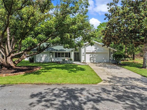10 COLUBRINA COURT, HOMOSASSA, FL 34446