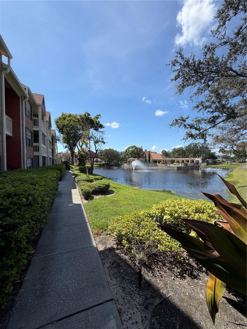 10200 Gandy Boulevard N, Unit 1235, Saint Petersburg, FL 33702 Photo