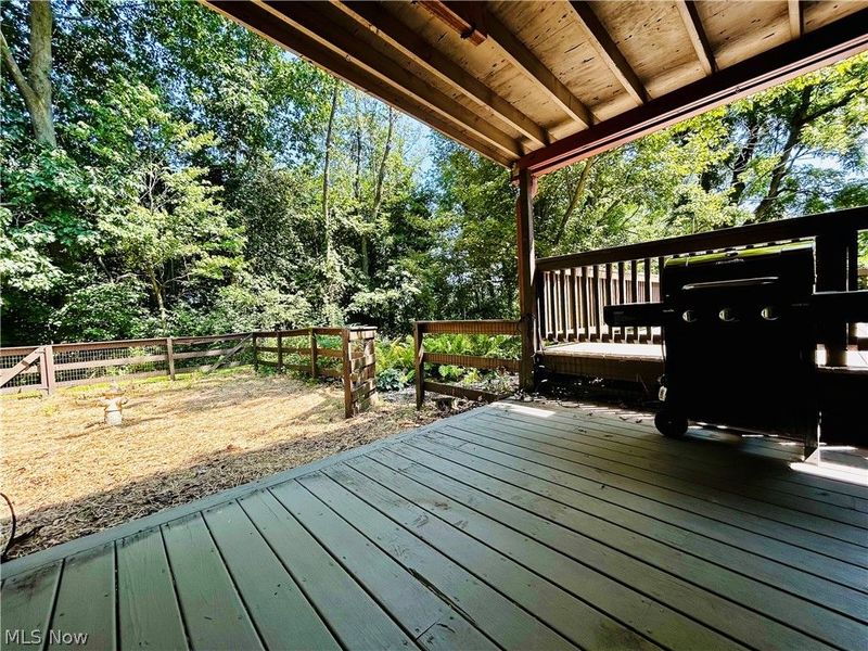 1572 Wall Road, Wadsworth, OH 44281 Photo 37