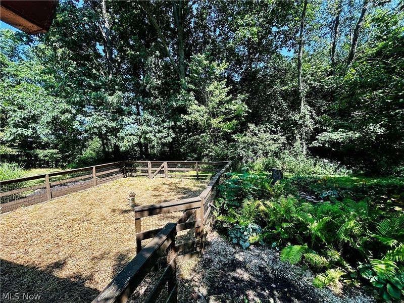 1572 Wall Road, Wadsworth, OH 44281 Photo 42
