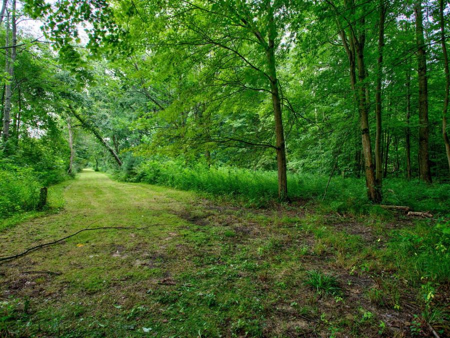Property Image 56