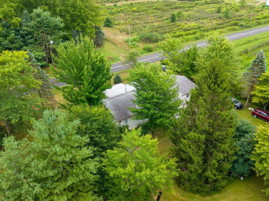 Property Image 89