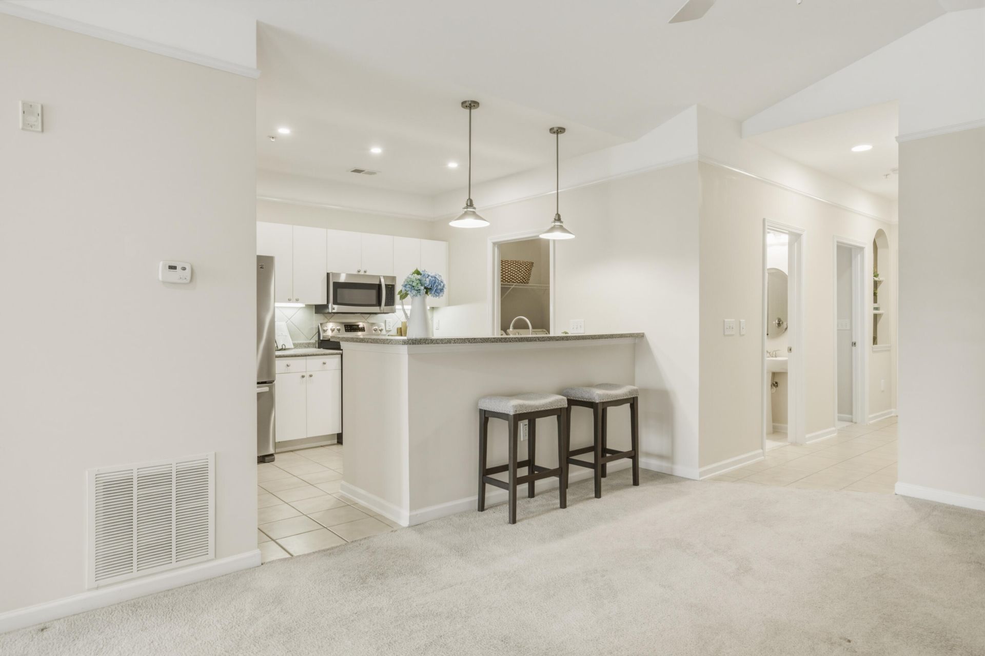 2534 Egret Crest Lane Photo 13