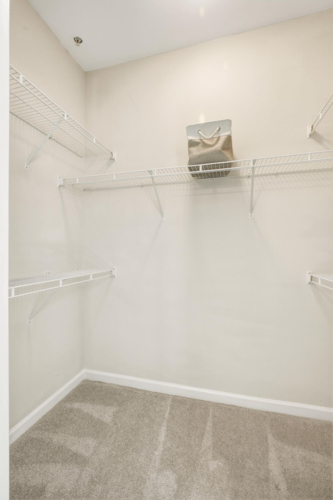 2534 Egret Crest Lane Photo 26