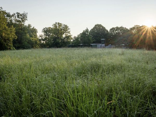 1125 Dawson Road , White Bluff, TN 37187