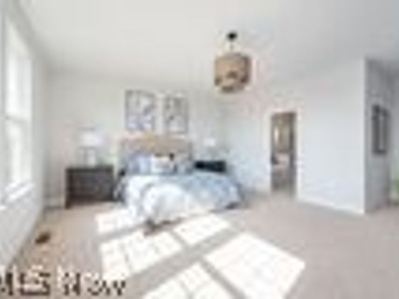 35629 Baldauf Crossing, North Ridgeville, OH 44039 Photo 17