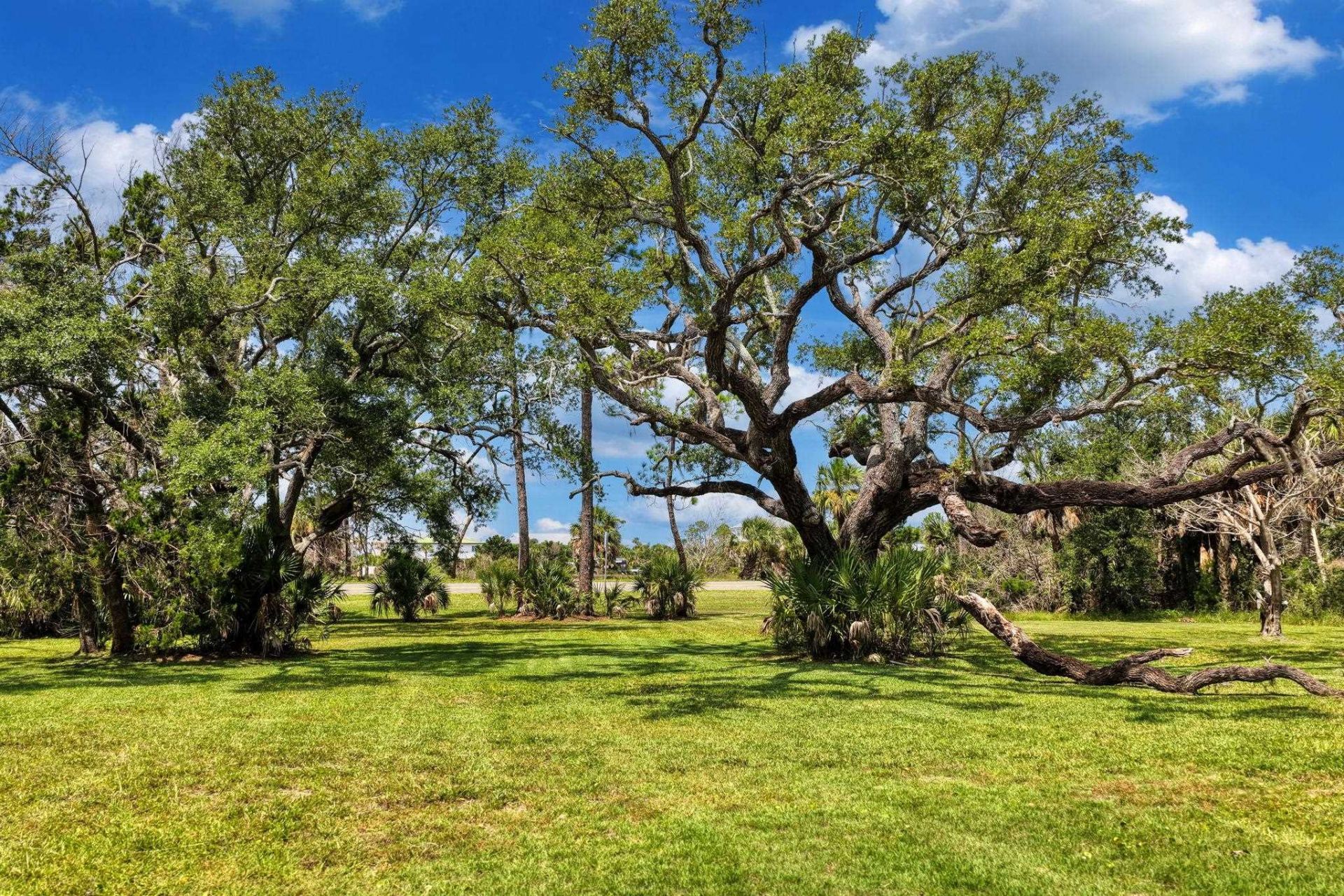 8 NW Second Street , Steinhatchee, FL 00000 Photo