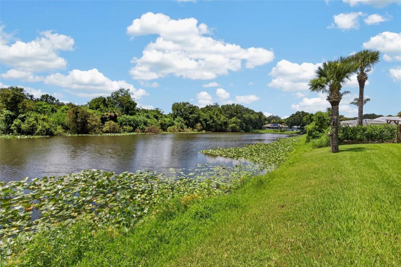 1102 12th Street, Edgewater, FL 32132 Photo