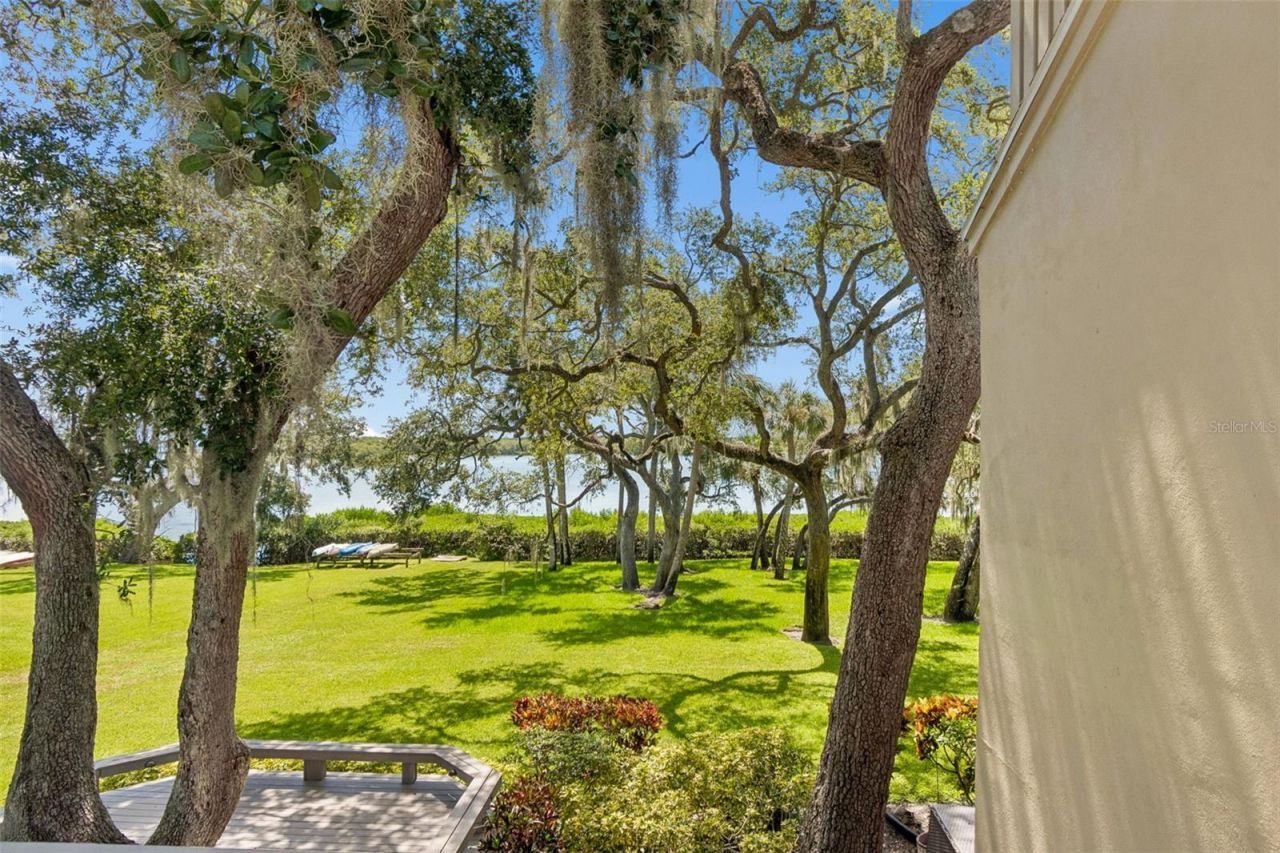 1111 N Bayshore Boulevard, Unit A15, Clearwater, FL 33759 Photo
