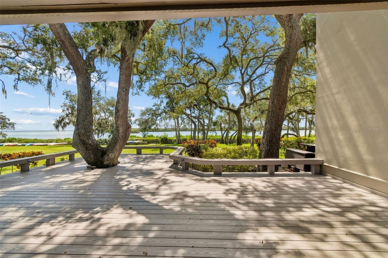 1111 N Bayshore Boulevard, Unit A15, Clearwater, FL 33759 Photo